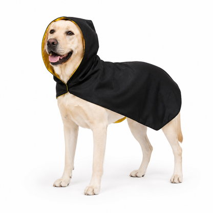 Midnight Shadow Dog Cloak